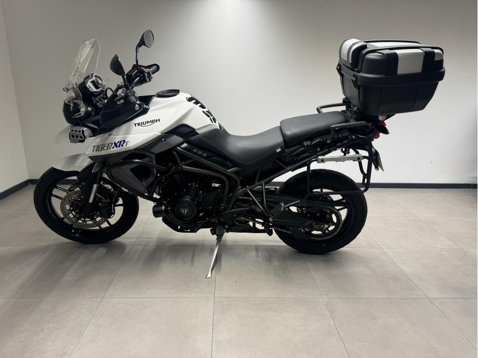 TIGER 800 XRT